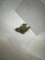 IMG_6625.jpeg