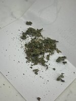IMG_6623.jpeg