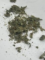 IMG_6621.jpeg
