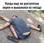 IMG_2576.jpeg