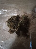 IMG_4467.jpeg