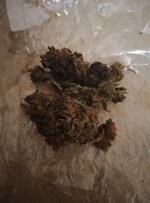 IMG_4468.jpeg