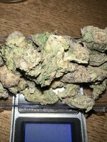 IMG_2873.jpeg