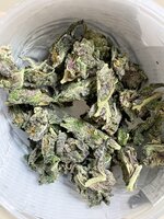 IMG_2473.jpeg