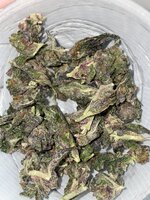 IMG_2472.jpeg