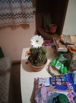 IMG_20250502_205454_407.jpg