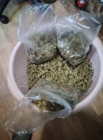 IMG_20250429_182547_052.jpg