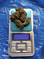 IMG_1123.jpeg