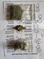 IMG_0003.jpeg
