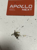 IMG_5693.jpeg