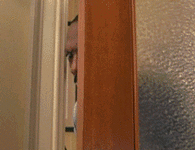 Ljp.gif Ljp.gif