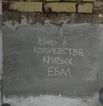 1000007036.jpg