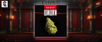 шишки.jpg шишки.jpg
