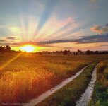 IMG_2114.jpeg