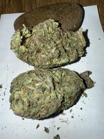 IMG_4095.jpeg