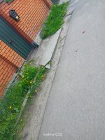 IMG20250511184045.jpg