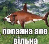 20250511_160454.jpg