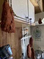 IMG_4710.jpeg
