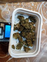 IMG_20250510_190444.jpg