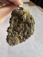 IMG_0080.jpeg