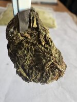 IMG_0083.jpeg