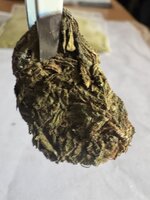 IMG_0082.jpeg