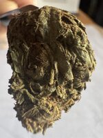 IMG_0086.jpeg