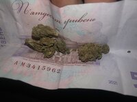 IMG_1007.jpeg
