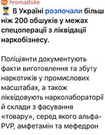 IMG_1384.jpeg