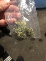 IMG_3023.jpeg