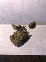 IMG_2980.jpeg