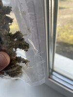 IMG_0075.jpeg