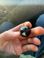 IMG_3018.jpeg