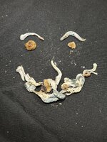 IMG_0110.jpeg