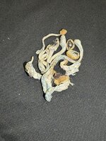 IMG_0111.jpeg