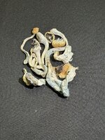 IMG_0112.jpeg