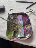 IMG_6618.jpeg