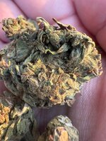 IMG_3012.jpeg