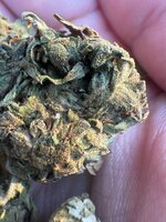 IMG_3011.jpeg