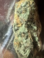 IMG_1773.jpeg