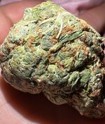 IMG_0256.jpeg