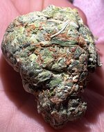 IMG_0255.jpeg