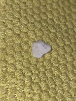 IMG_3165 — крупный размер.jpeg