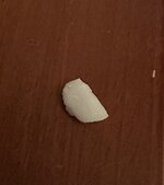 IMG_7645 — крупный размер.jpeg