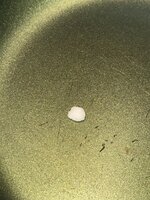 IMG_8176 — крупный размер.jpeg