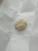 IMG_8484 — крупный размер.jpeg