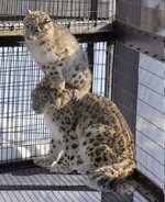 IMG_1232.jpeg