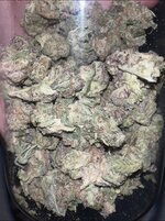 IMG_6301.jpeg