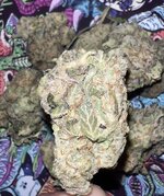 IMG_6243.jpeg
