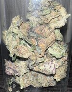 IMG_6303.jpeg